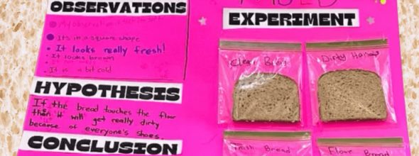 Bread Mold Experiment